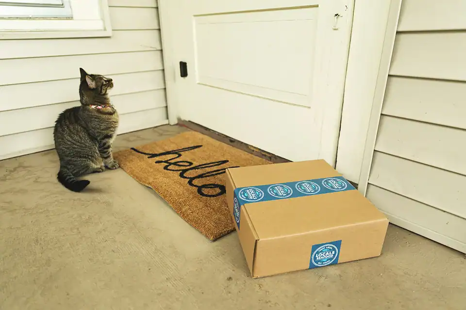 Zugestelltes Paket auf Fußmatte vor Haustür, daneben sitzt eine Katze.